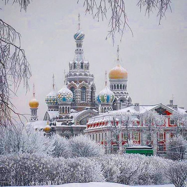 спас на крови зимой фото