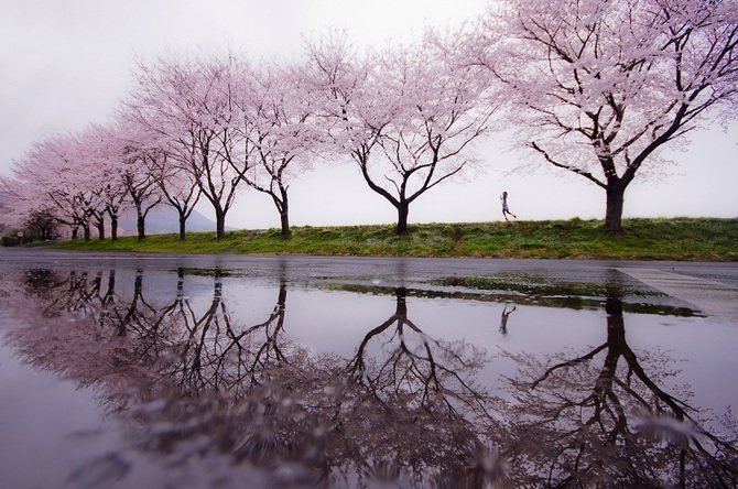 spring rain picture фото