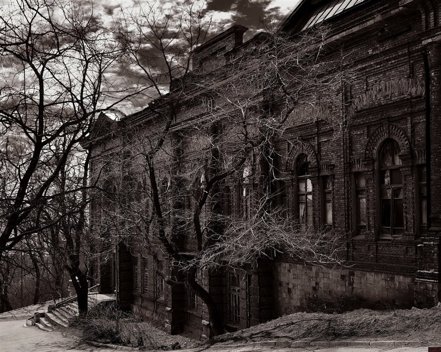старое фото улице россолимо фото