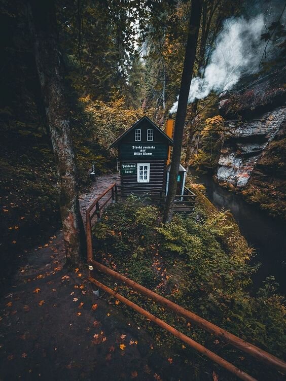 старый домик в лесу фото