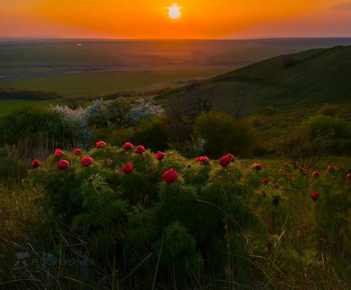 степи ставрополья фото