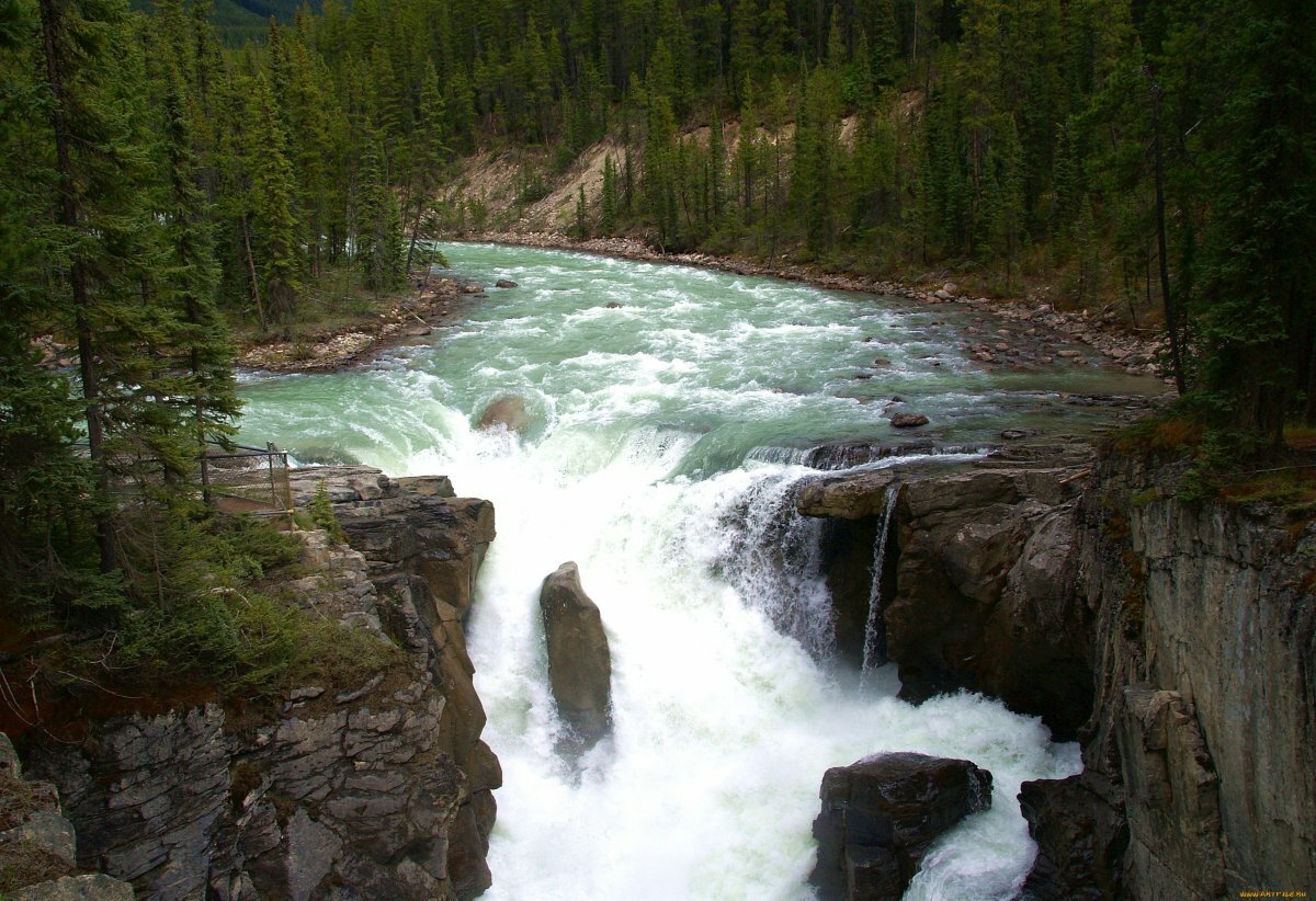 Sunwapta Falls фото