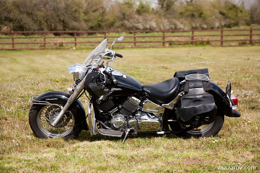 suzuki intruder volusia vl800 фото