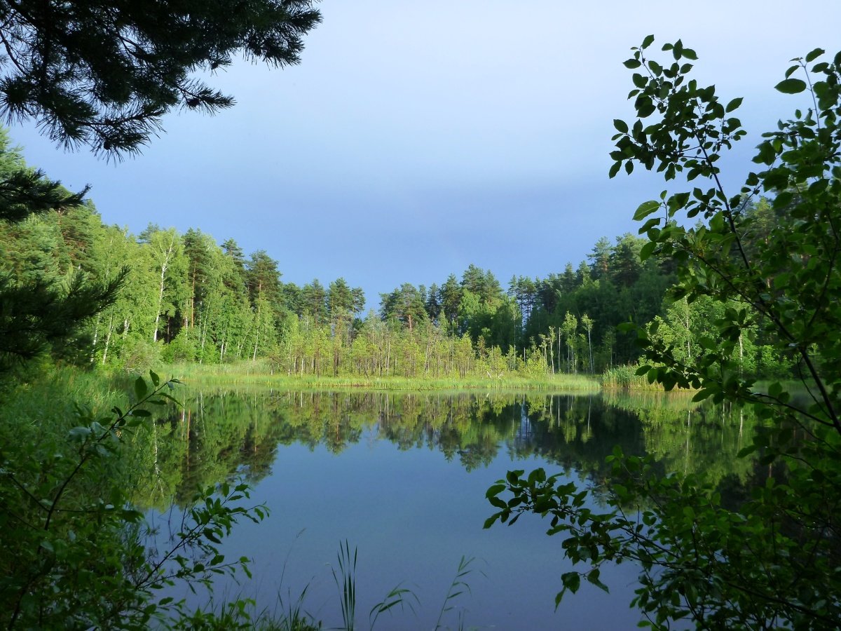 святое озеро в нижегородской обл фото