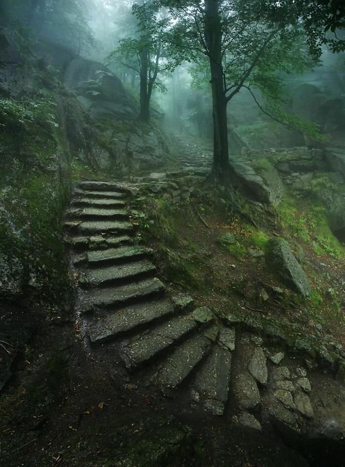 таинственная лестница фото