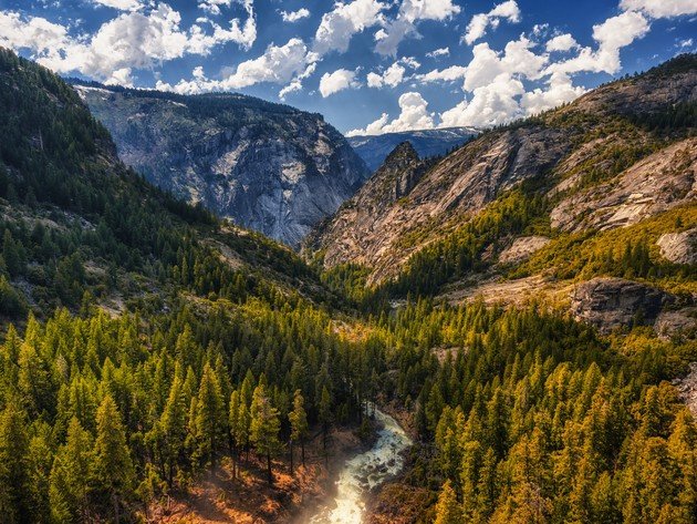 тайга северной америки фото