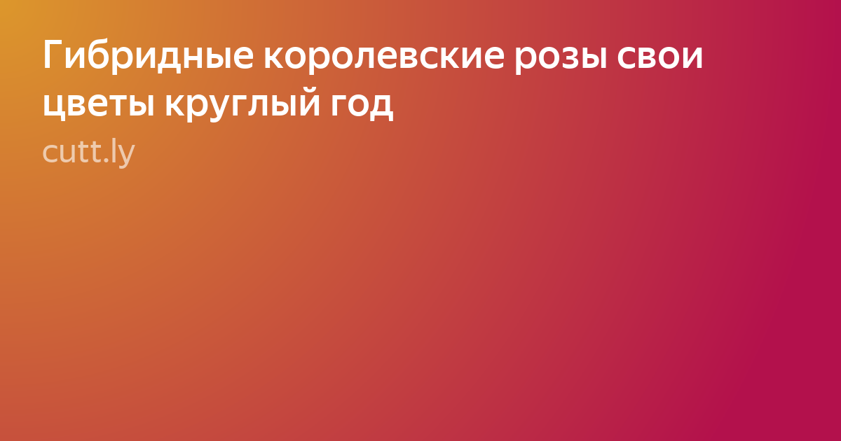 Текст фото