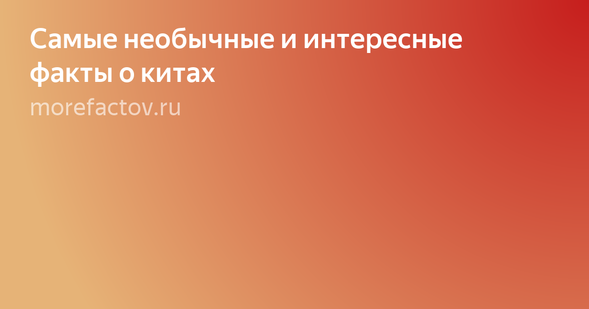 Текст фото