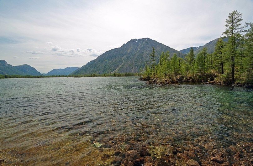 телецкое озеро алтай фото