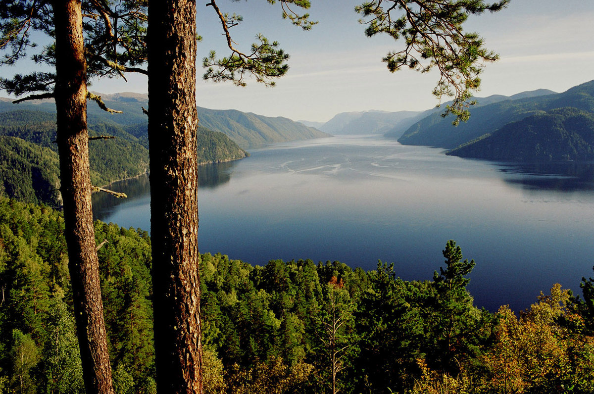 телецкое озеро алтай фото