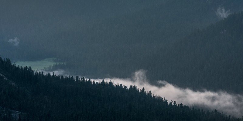 темный лес горы туман фото