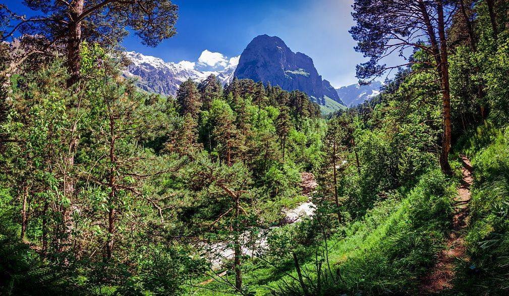 цейское ущелье фото