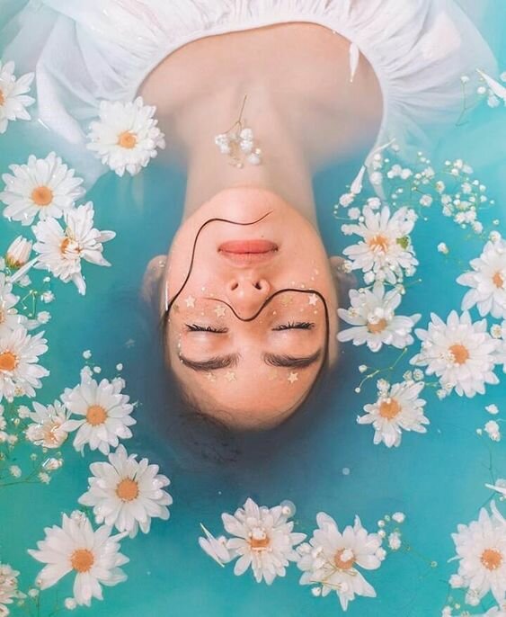 Цветы фото