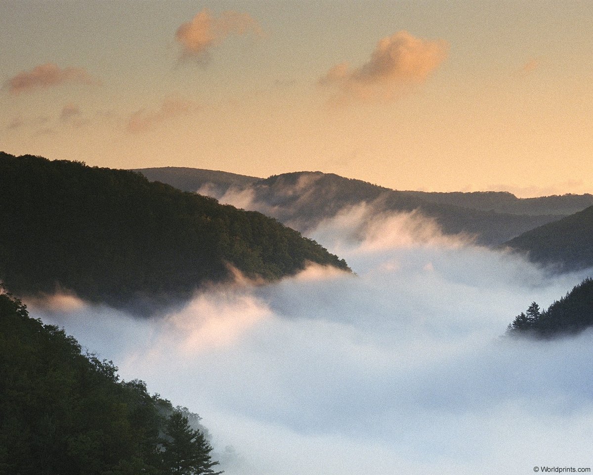 туман фото