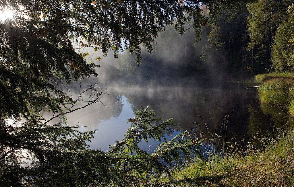 туман над рекой фото