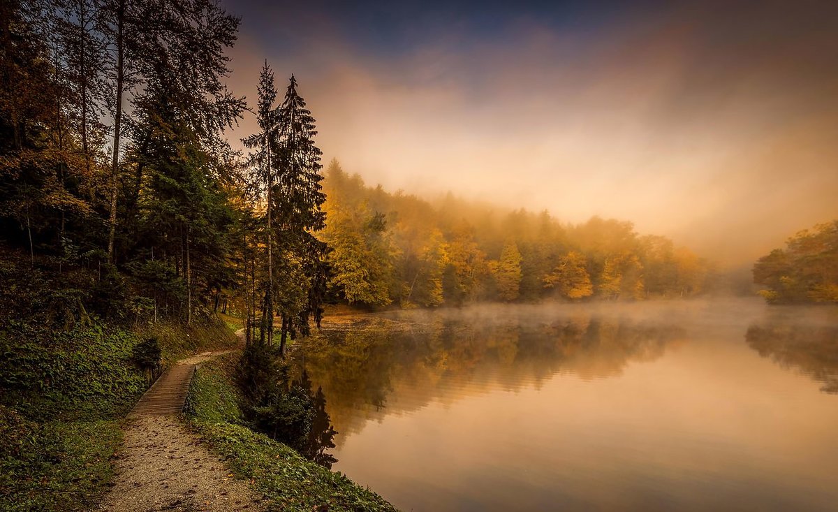 туман над рекой осень фото