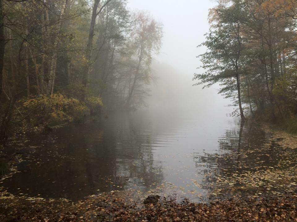 туман над рекой осень фото