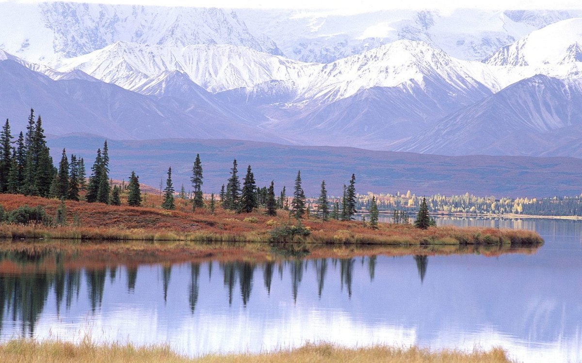 тундра пейзаж фото