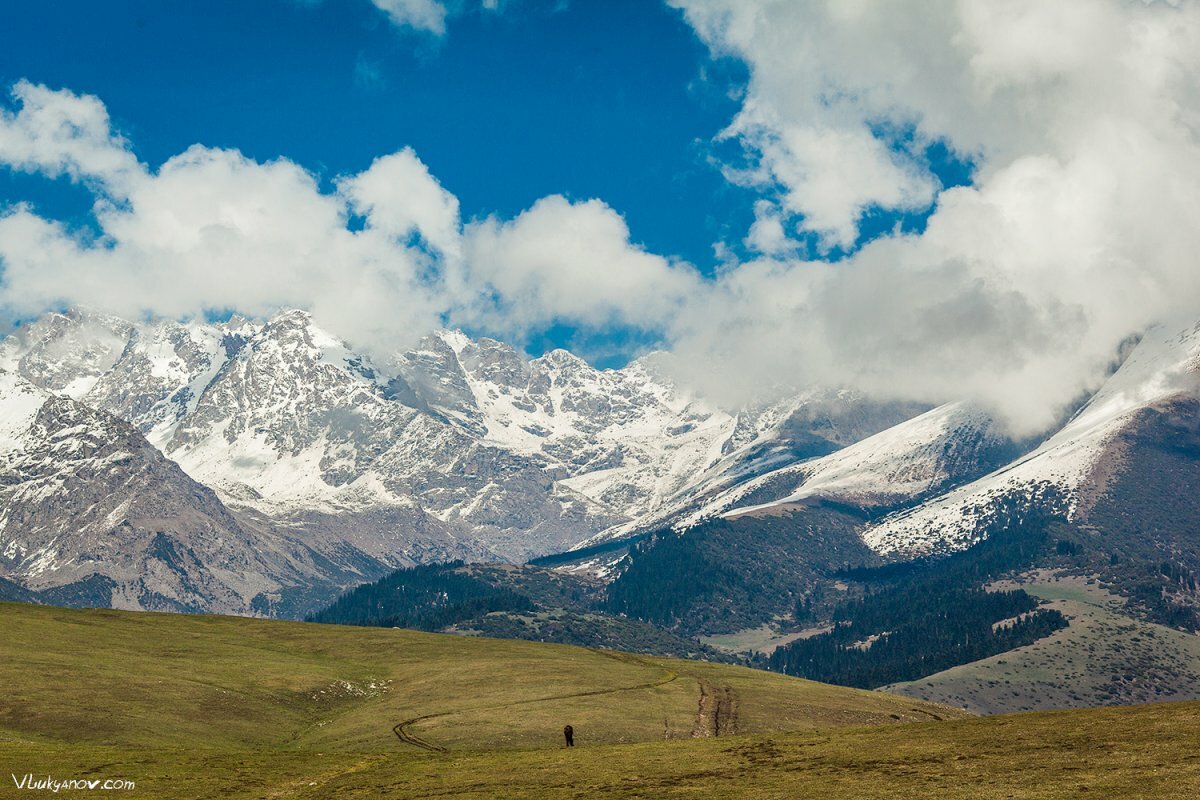 тянь шань иссык куль фото