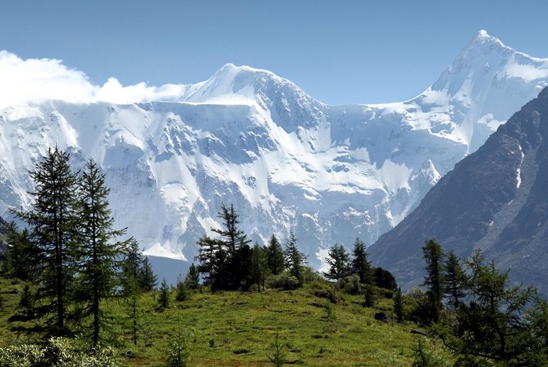 уч сумер гора белуха фото