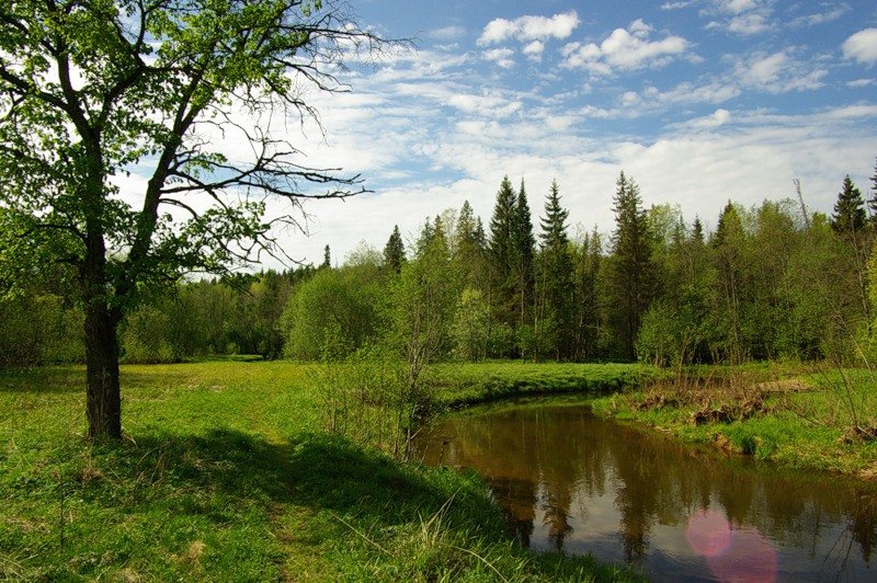 удмуртия родниковый край картинки фото