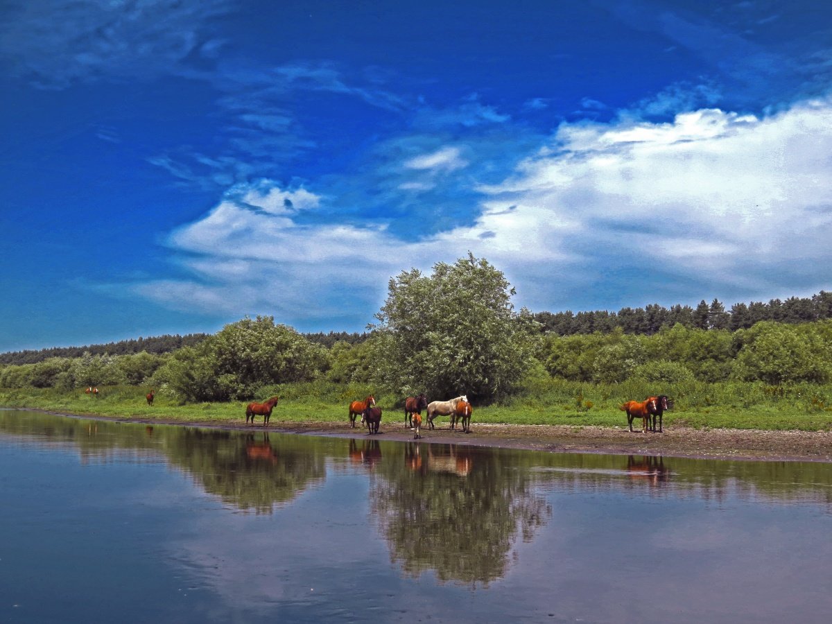 украина картинки фото реки фото