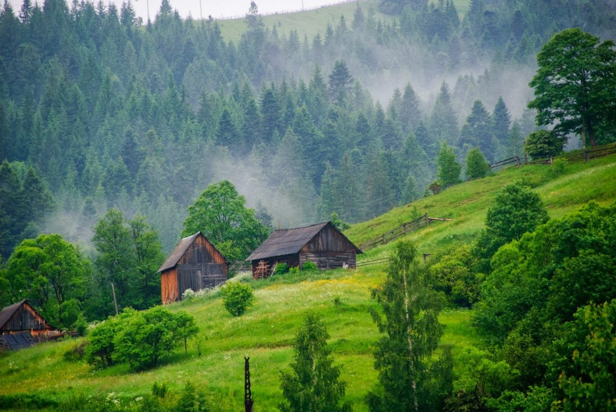 Украинские Карпаты фото