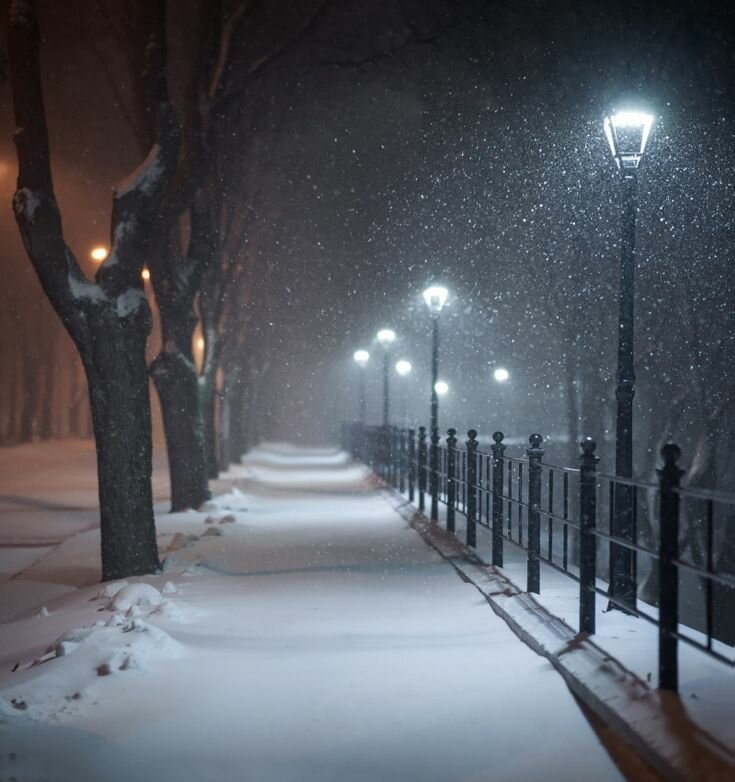 улица зимой ночью фото