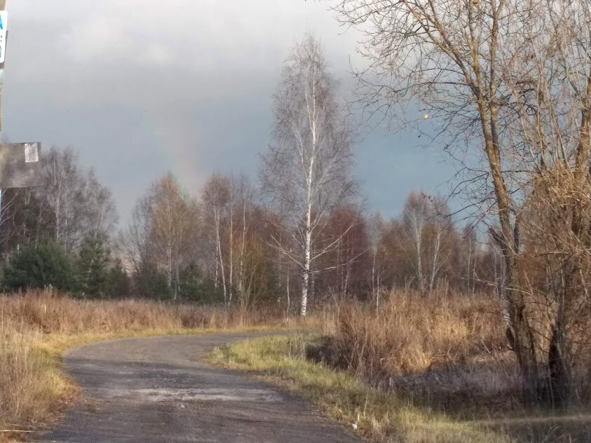 унылое фото деревни распутица фото