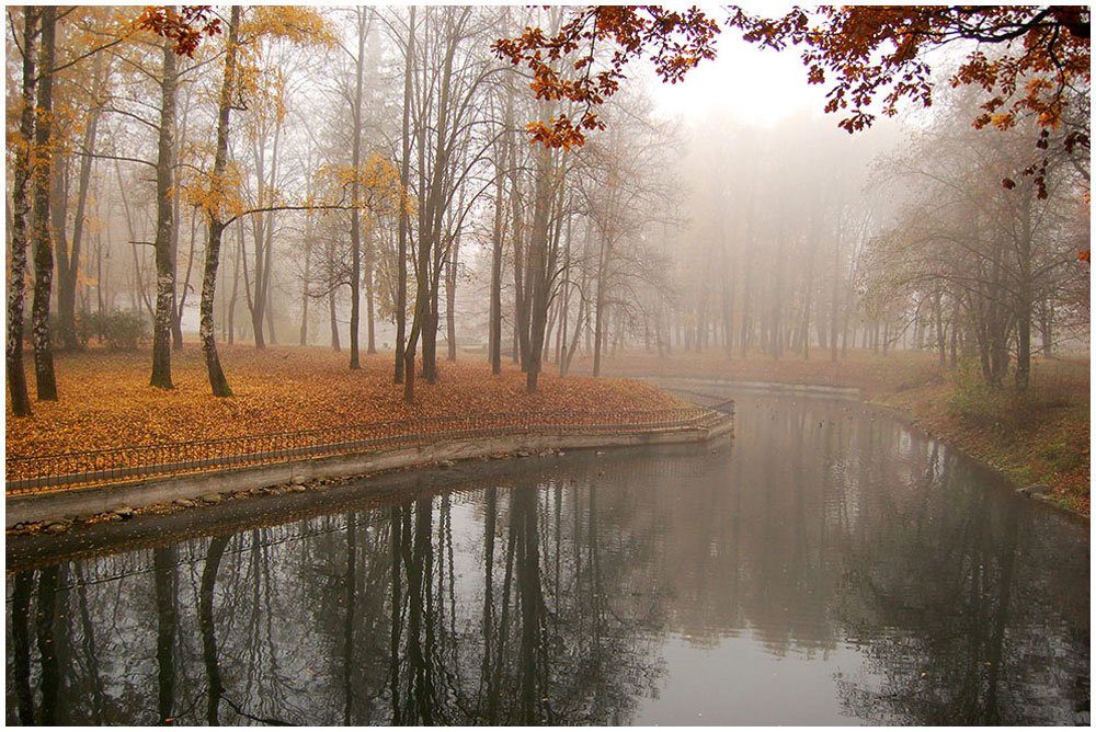 унылые пейзажи осени фото