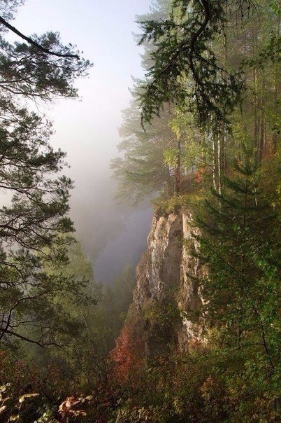 уральские леса и горы фото
