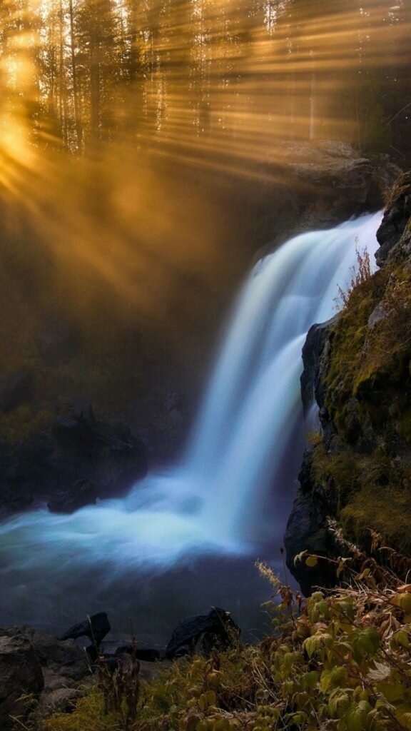 утро природа водопад фото