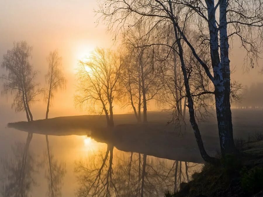 утро рассвет на реке фото