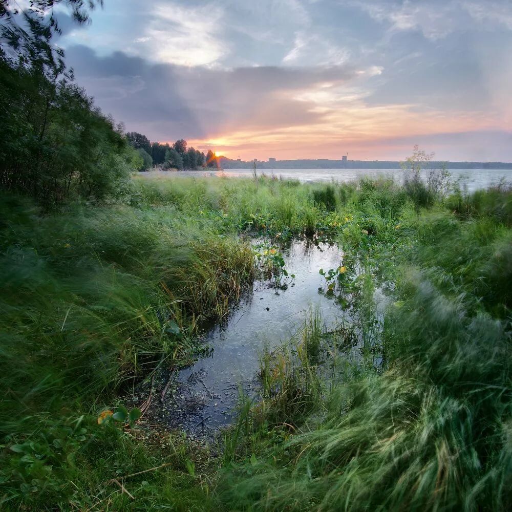 утро река туман фото