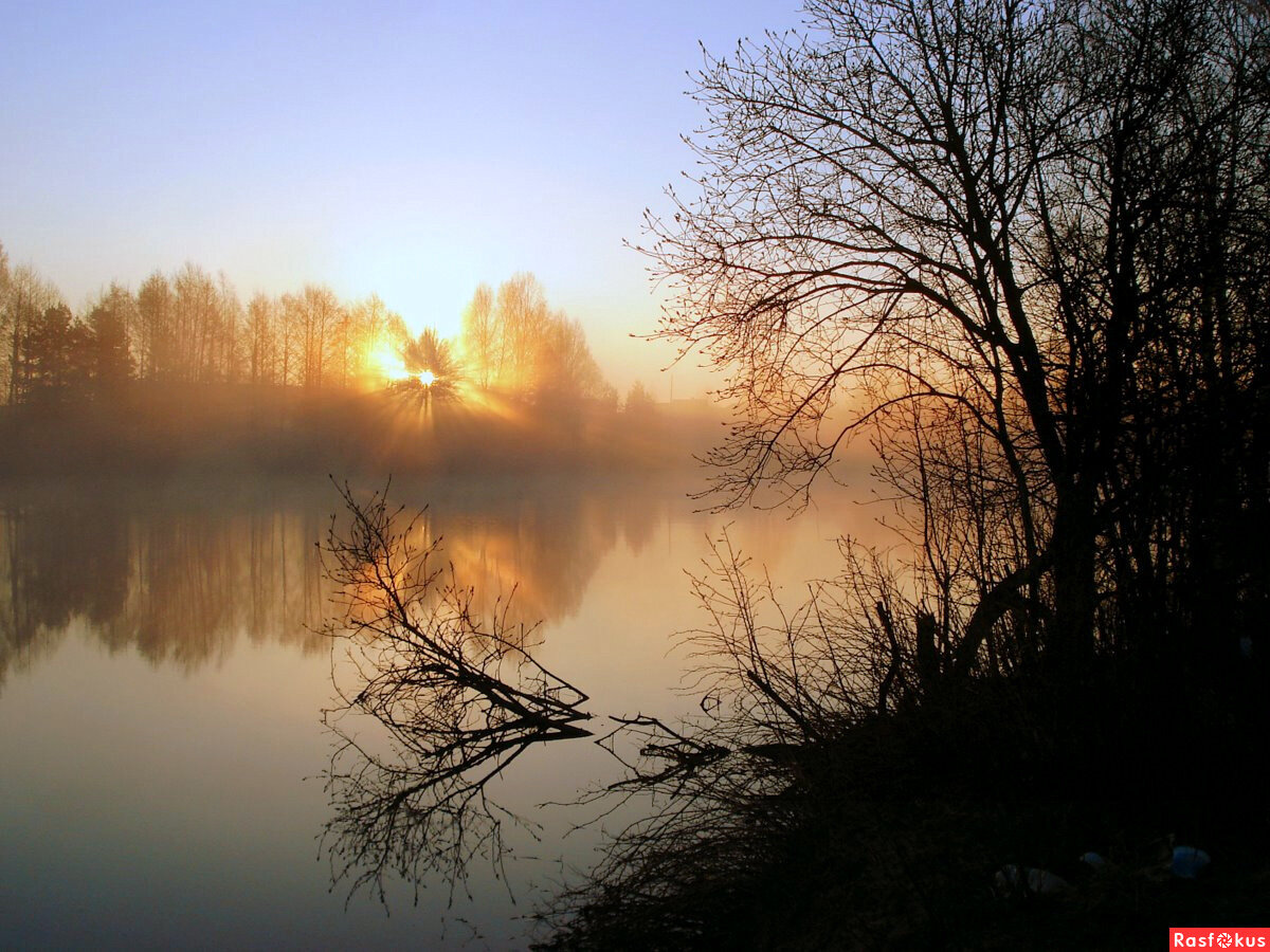 утро туман над рекой фото