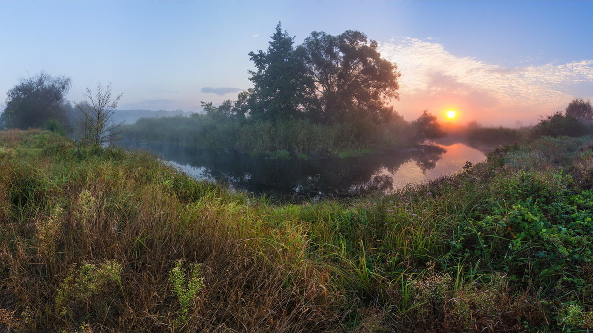 утро туман рассвет фото