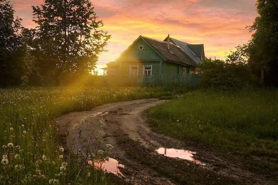 утро в деревне картинки фото