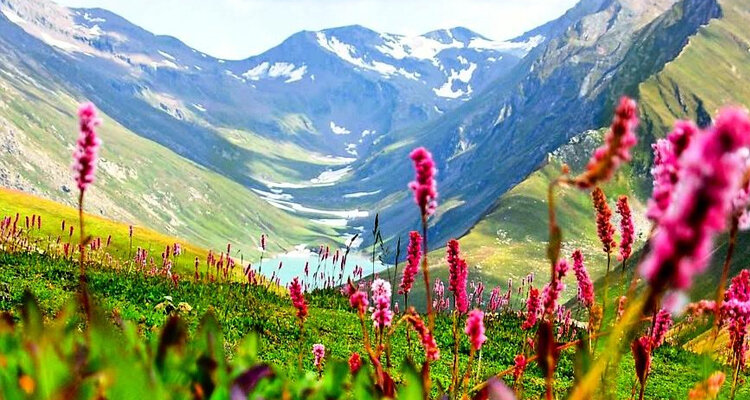 valley of flowers фото