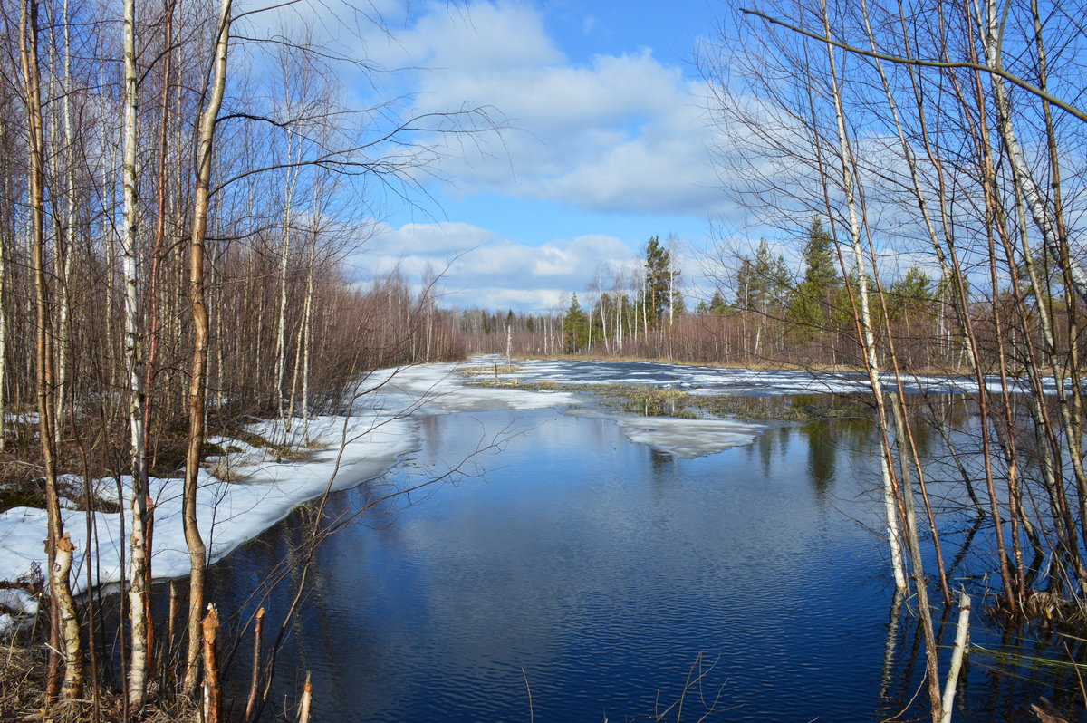 весеннее половодье фото