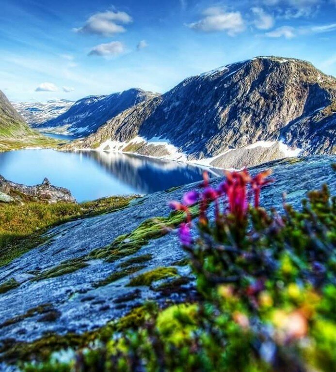 весна в горах фото