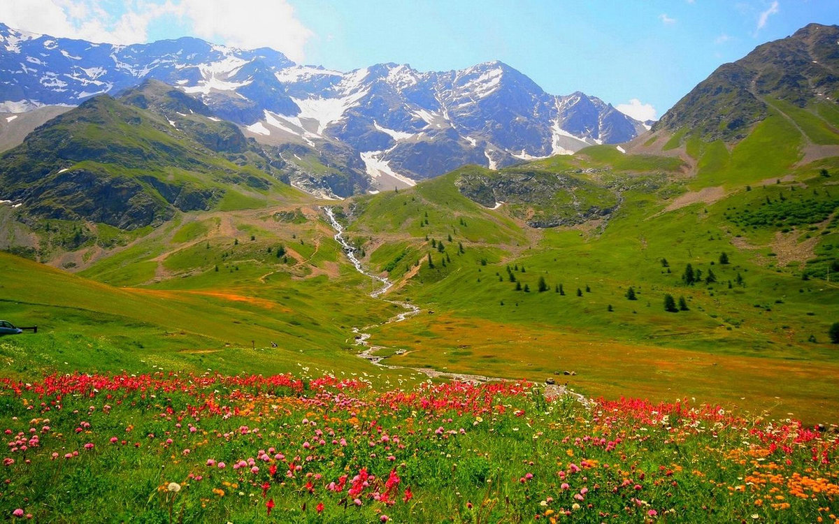 весна в горах картинки фото