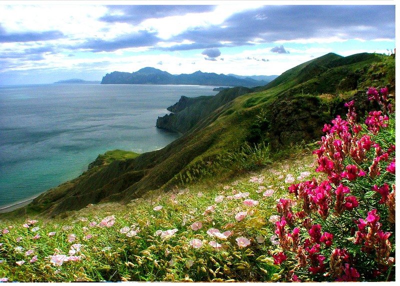 весна в крыму фото