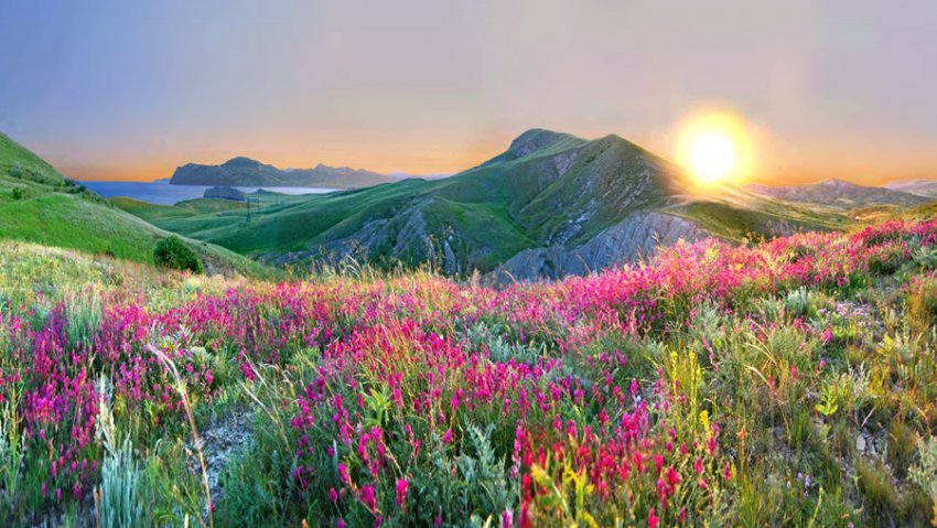 весна в крыму фото