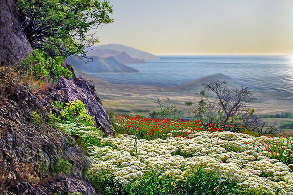 весна в крыму фото