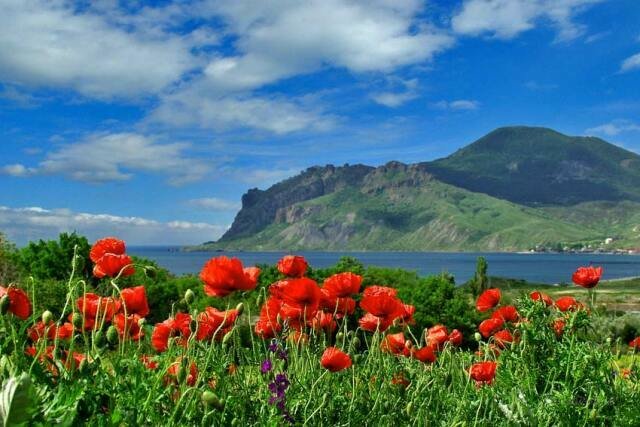 весна в крыму картинки фото