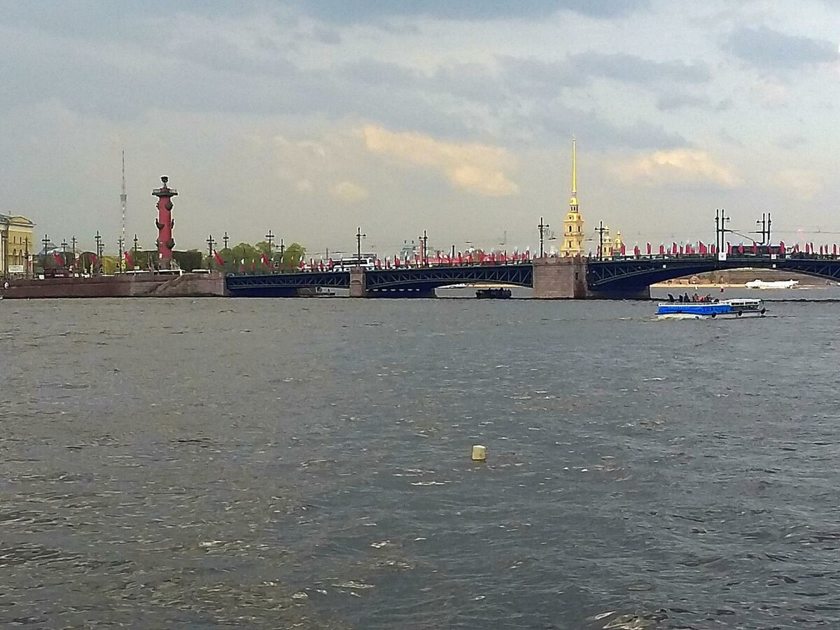 вид на дворцовый мост с заячьего острова фото