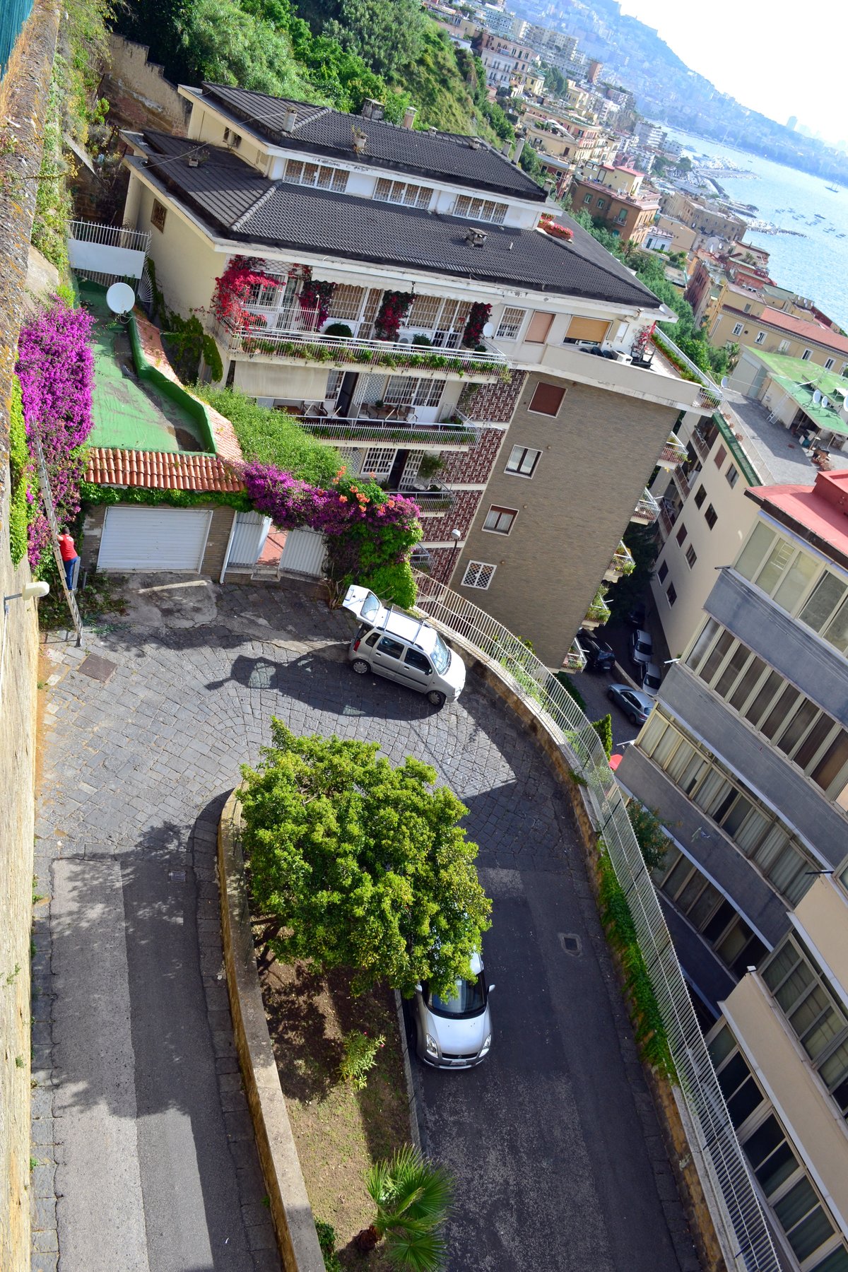 villa velji vinogradi 3 будва фото