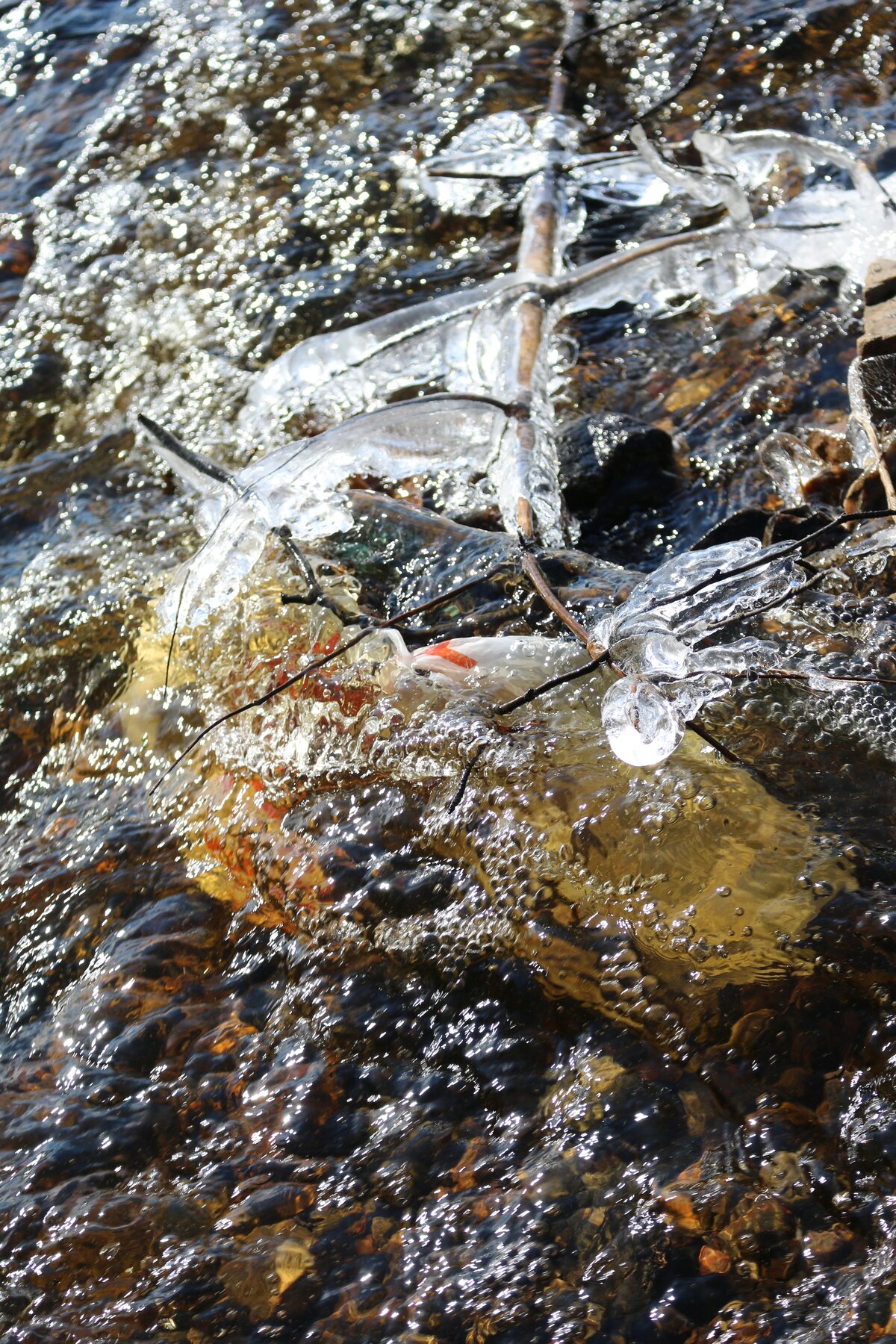 вода фото