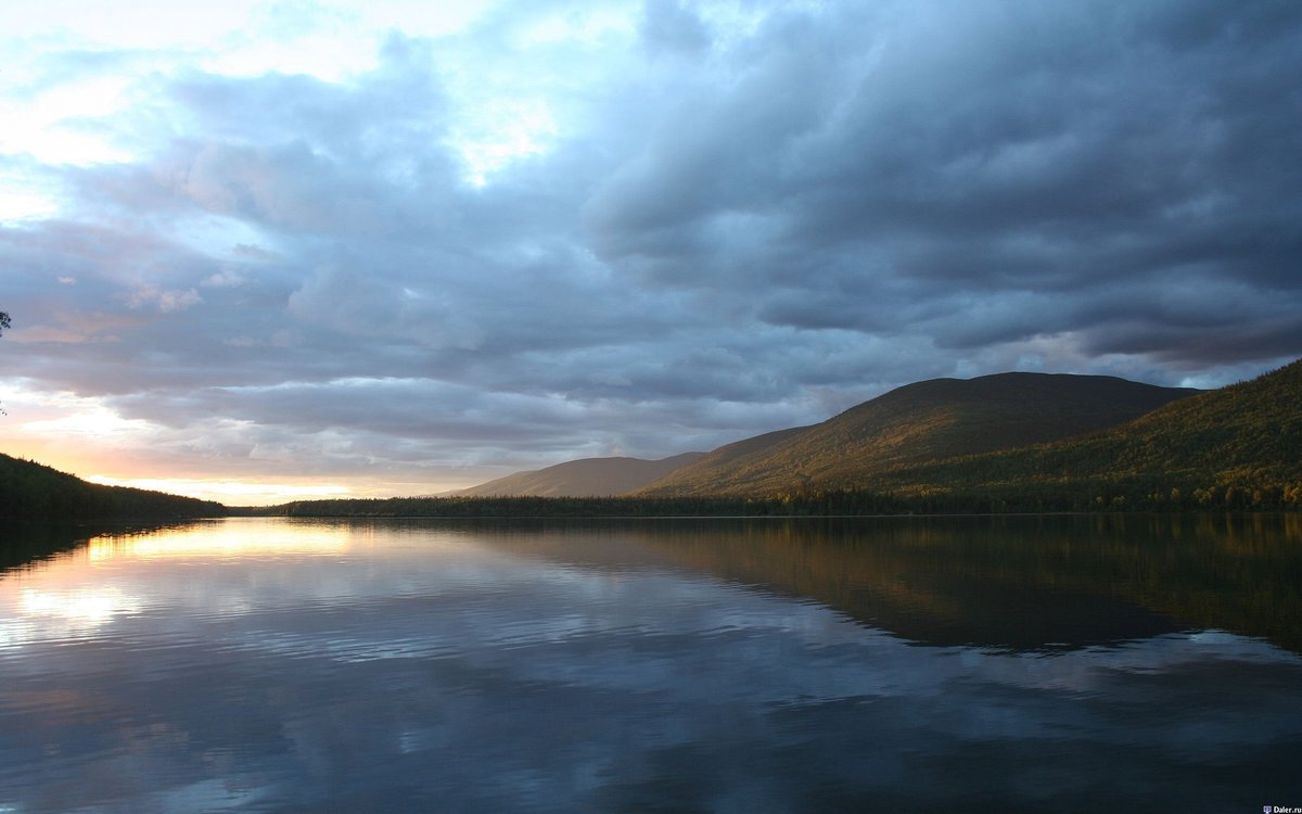 водная гладь фото