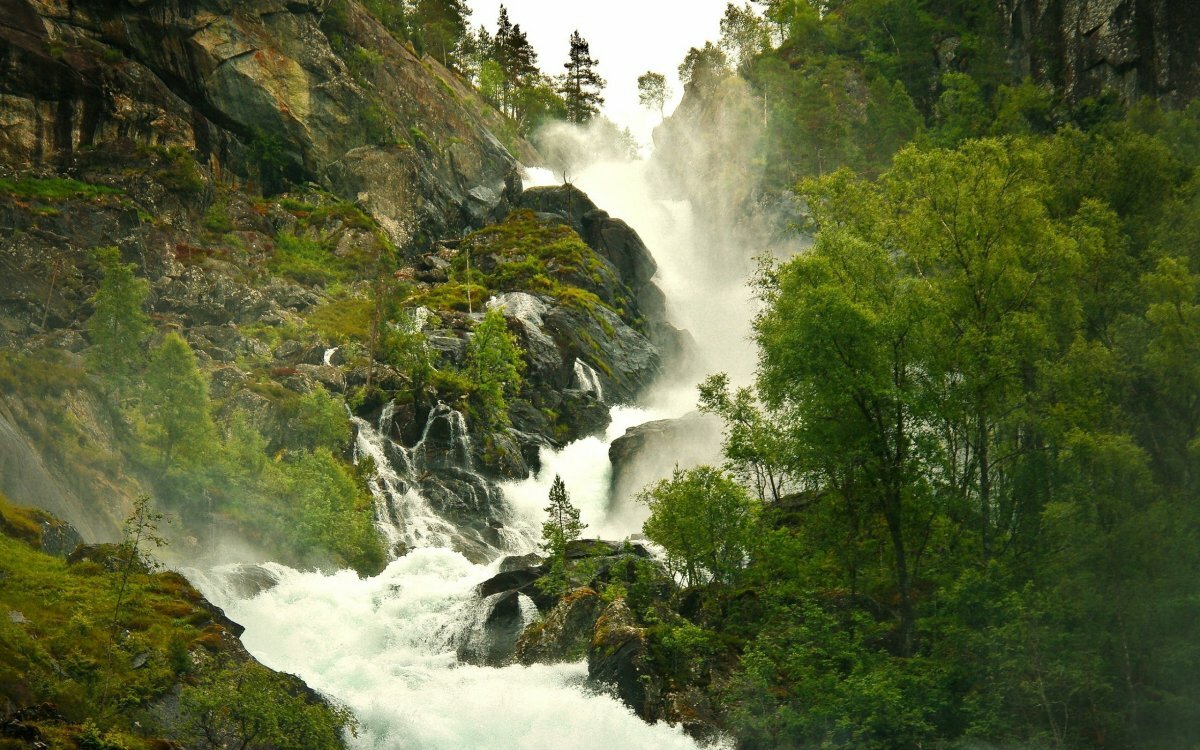 водопад лес горы туман фото
